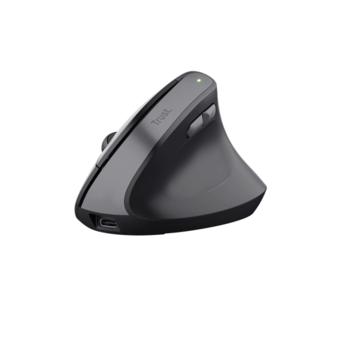 Vista del mouse con una estetica vertical